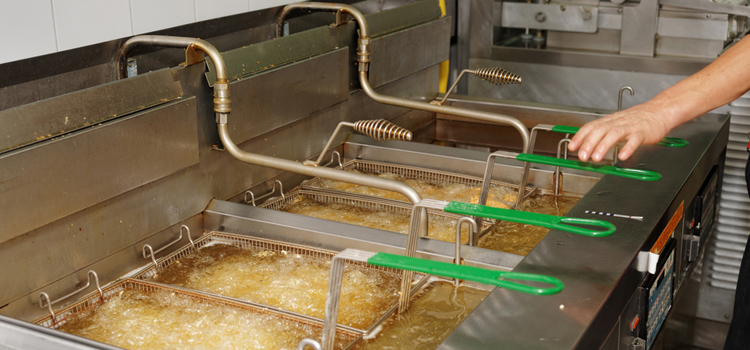 Wolf Commercial Fryer Repair in Niagara Falls