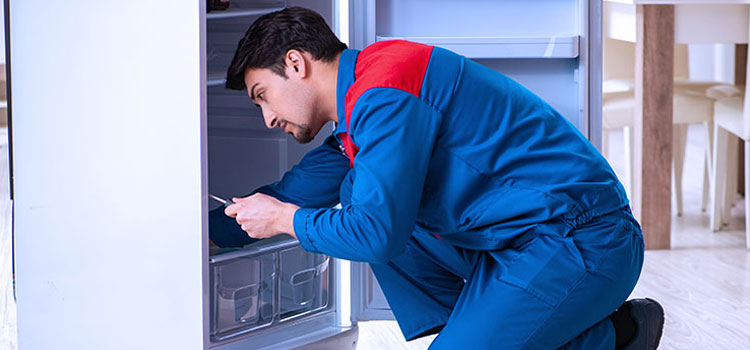 Blue Seal Freezer Repair Services in Niagara Falls